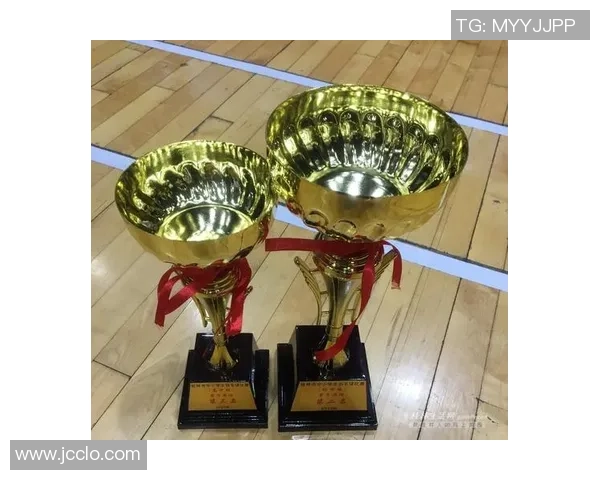 南京羽毛球队在总决赛中以77分高居榜首展现强大实力 南京羽毛球队在总决赛中以77分高居榜首展现强大实力