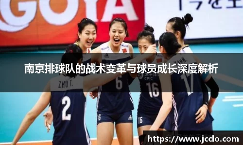 南京排球队的战术变革与球员成长深度解析